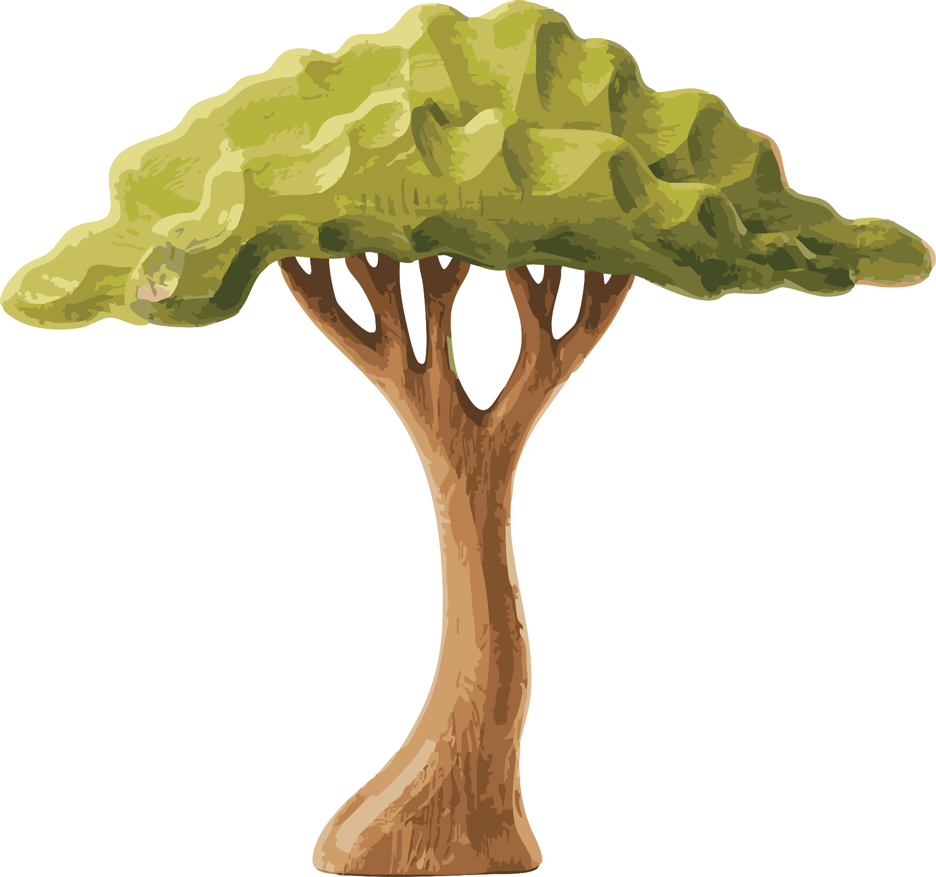 Hand-carved acacia tree with broad green canopy