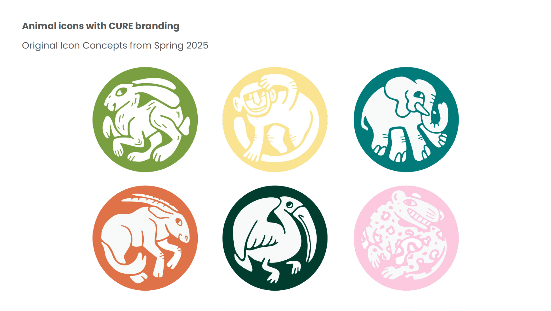 Six animal icons in colored circles with CURE branding