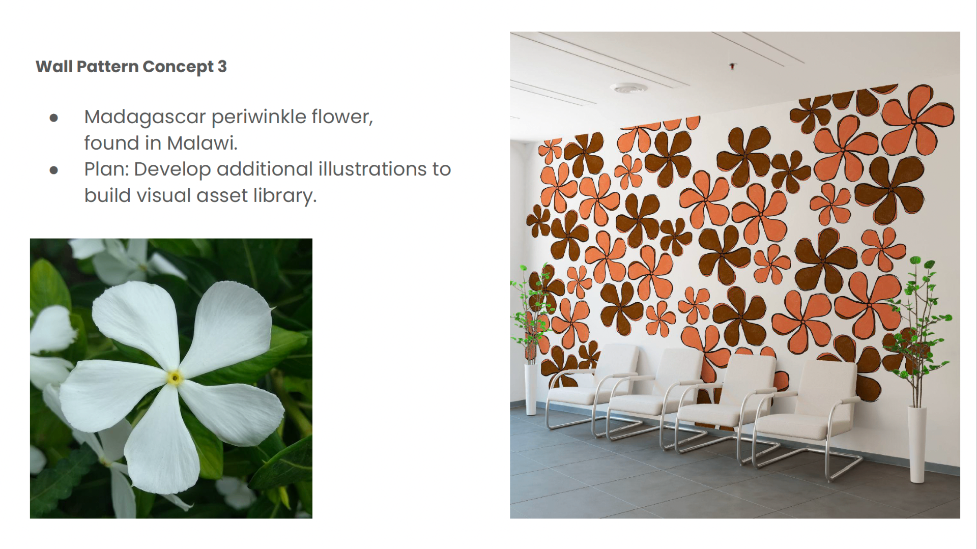 Wall pattern concept 3 with Madagascar periwinkle flowers